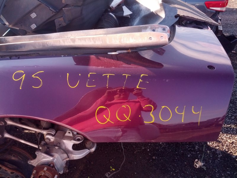 vette.jpg