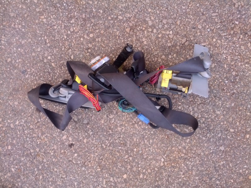 accordbelts02.jpg